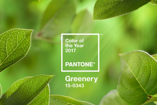 Pantone Color of the Year for 2017 Is Everything We All Need