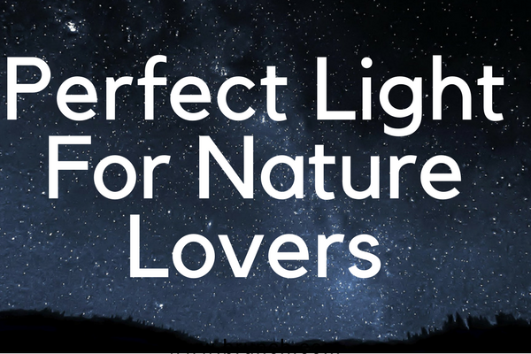 Perfect Light For Nature Lovers