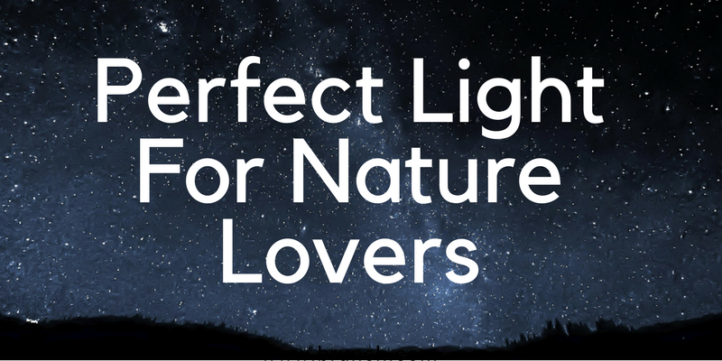 Perfect Light For Nature Lovers