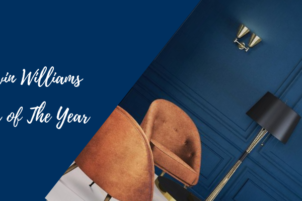 The Hottest Trend Right Now Sherwin Williams Colour of The Year 2020 2
